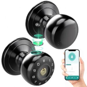 Cerradura Inteligente Smart Chapa Biometrica Pomo Perilla Negro K03 - Imagen 1