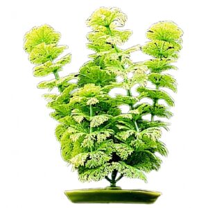 Planta De Plastico AMBULIA 8 pulgadas (20.3 cm.) Hagen - Imagen 1