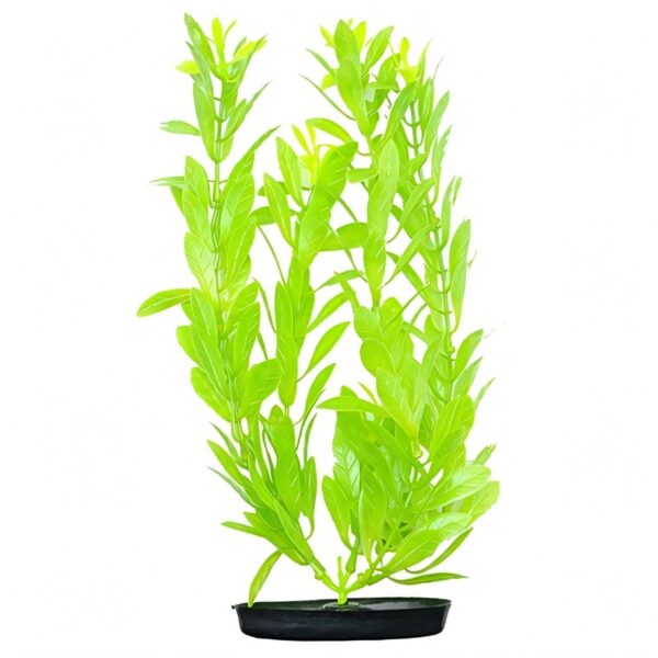 images2Fproducts2FG1VkQHMLQ-219.jpg