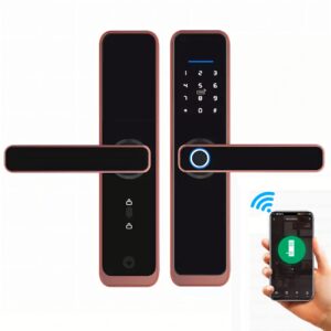 Cerradura Inteligente Smart Chapa Biometrica Digital Wifi Dorado X9 - Imagen 1