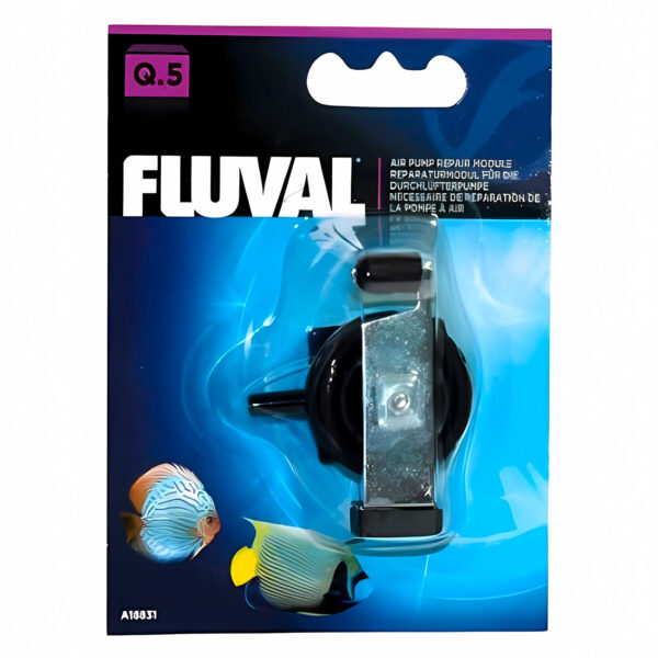 images2Fproducts2FdjGqMNfec-17.jpg