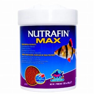 Nutrafin Max Granulos Flotantes Tropicales Medianos 80 Gr. - Imagen 1