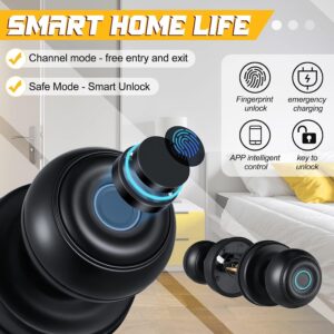 Cerradura Inteligente Smart Chapa Biometrica Pomo Perilla Negro K01 - Imagen 2
