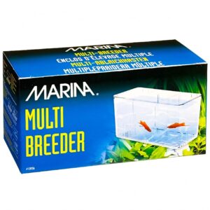 Maternidad múltiple - bettero acuarios Hagen - Imagen 1